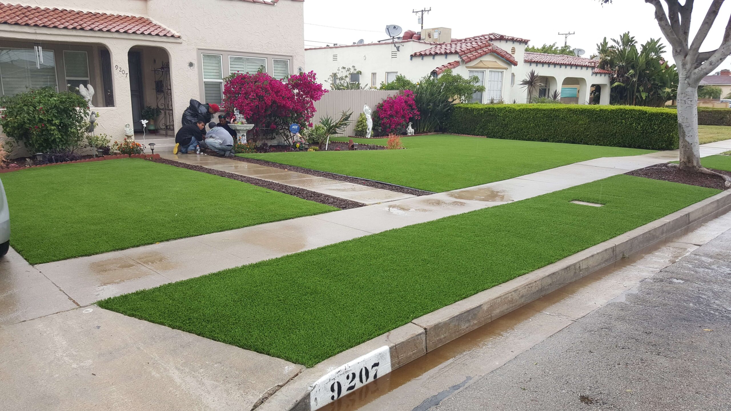 how to renovate a lawn